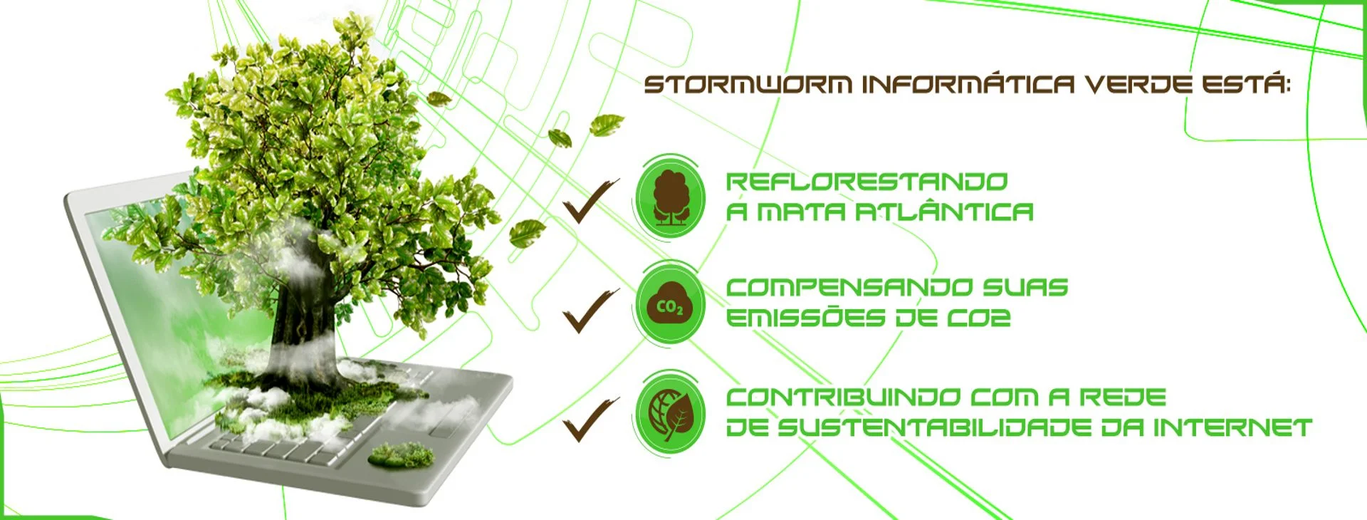 Storm Worm Informática Verde: reflorestando a Mata Atlântica e compensando emissões de CO2